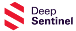 DeBragga Discount Codes - 30% Off